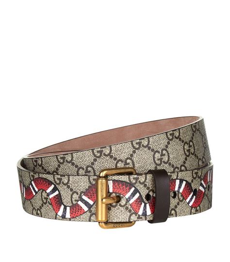 men guccie belt|Gucci snake belt men's.